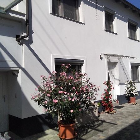 Ferienhaus Fam. Bisgen Niederkirchen bei Deidesheim Eksteriør bilde